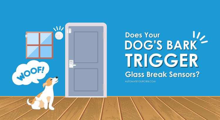 Does Your Dog's Bark Trigger Glass Break Sensors?